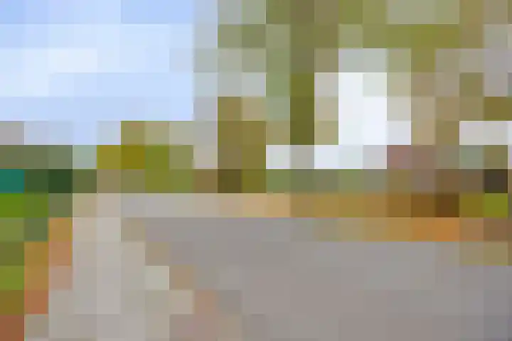 Nieuwediep 18 Nieuwediep thumbnail 41