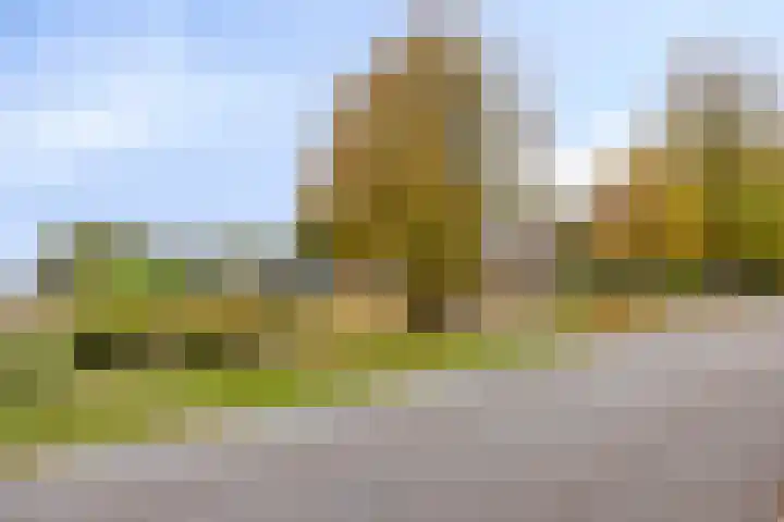 Nieuwediep 18 Nieuwediep thumbnail 42