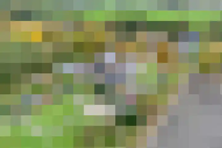 Nieuwediep 18 Nieuwediep thumbnail 46