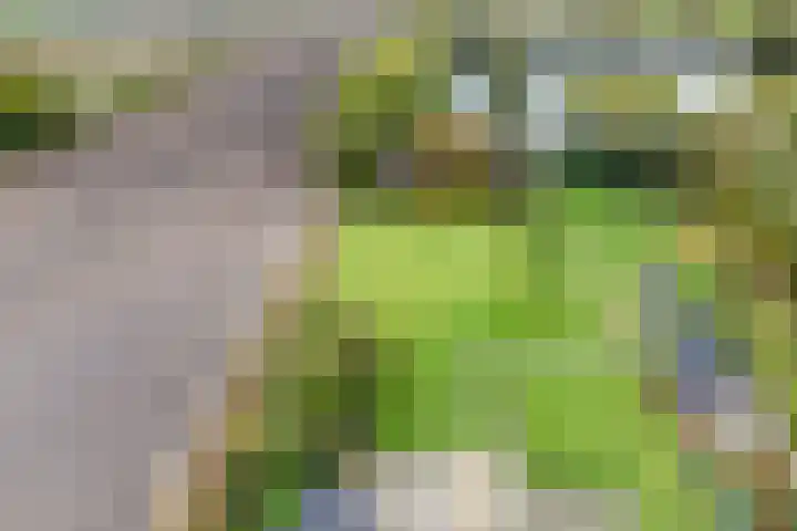 Nieuwediep 18 Nieuwediep thumbnail 47