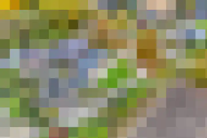 Nieuwediep 18 Nieuwediep thumbnail 48