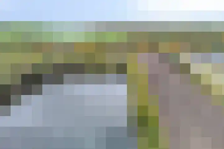 Nieuwediep 18 Nieuwediep thumbnail 49