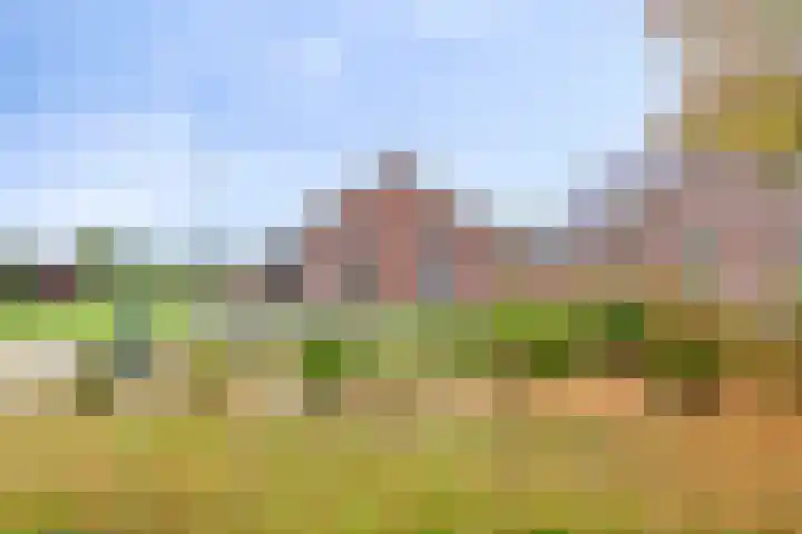 Nieuwediep 18 Nieuwediep thumbnail 5