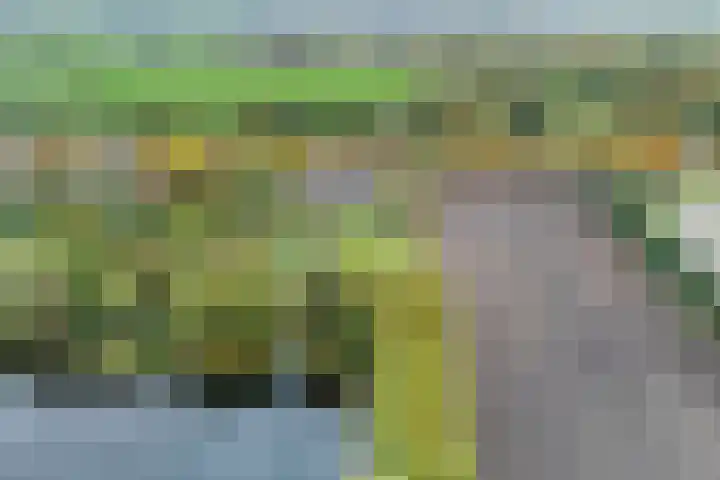 Nieuwediep 18 Nieuwediep thumbnail 50