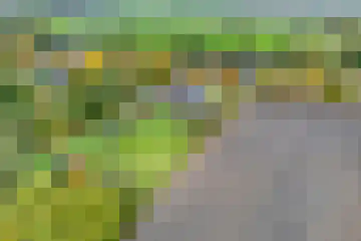 Nieuwediep 18 Nieuwediep thumbnail 51