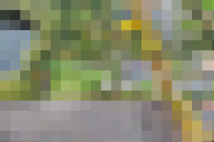Nieuwediep 18 Nieuwediep thumbnail 52