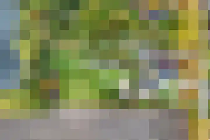 Nieuwediep 18 Nieuwediep thumbnail 53