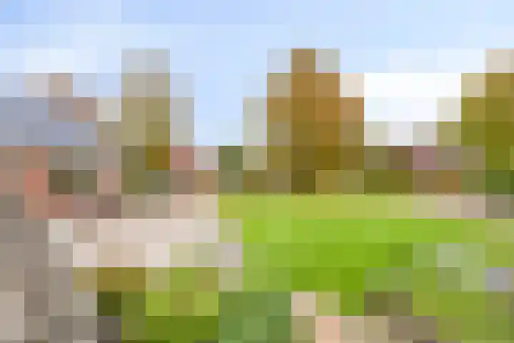 Nieuwediep 18 Nieuwediep thumbnail 8