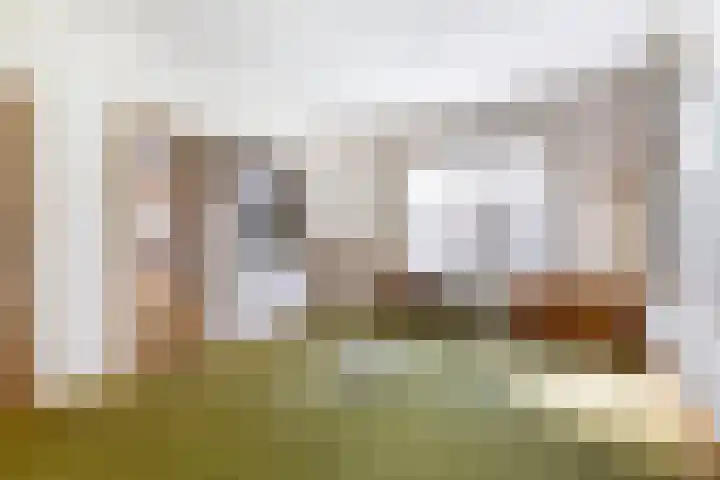 Nieuwediep 19 Nieuwediep thumbnail 11