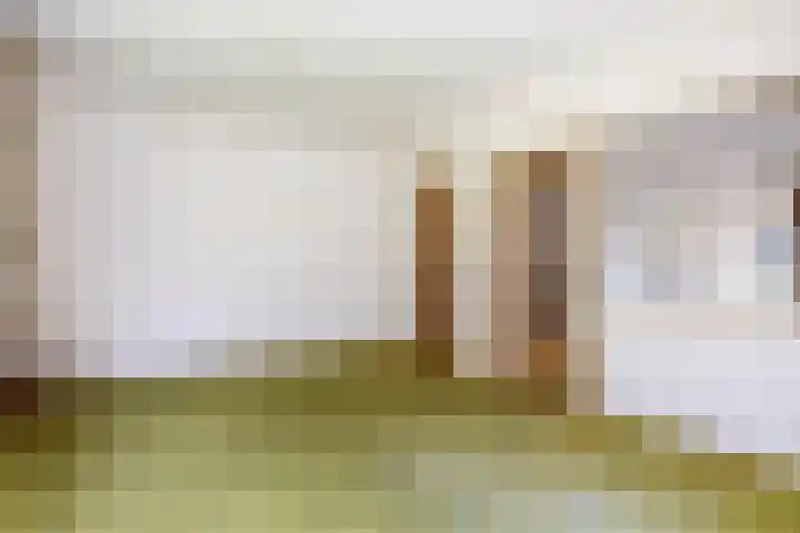 Nieuwediep 19 Nieuwediep thumbnail 12