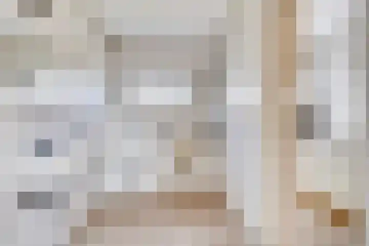 Nieuwediep 19 Nieuwediep thumbnail 20