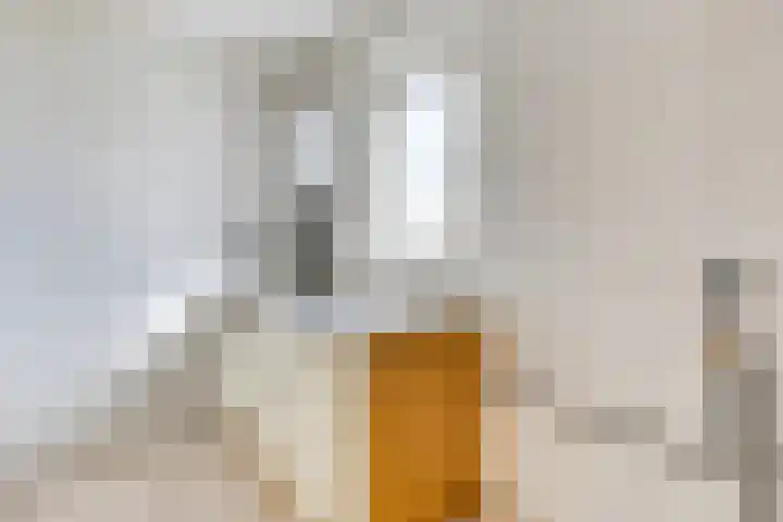 Nieuwediep 19 Nieuwediep thumbnail 21