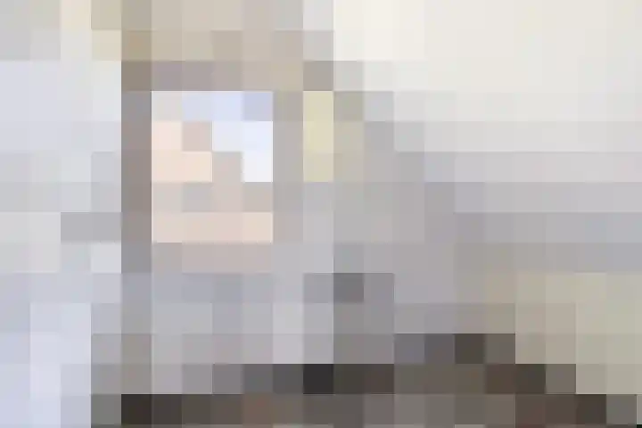 Nieuwediep 19 Nieuwediep thumbnail 26