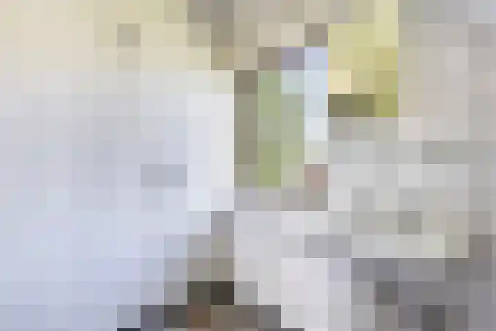 Nieuwediep 19 Nieuwediep thumbnail 27