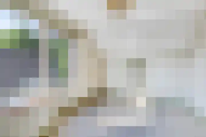 Nieuwediep 19 Nieuwediep thumbnail 28