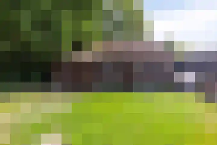 Nieuwediep 19 Nieuwediep foto 3