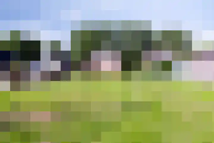 Nieuwediep 19 Nieuwediep thumbnail 32