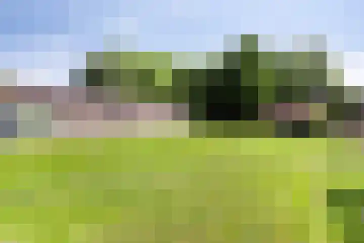 Nieuwediep 19 Nieuwediep thumbnail 33