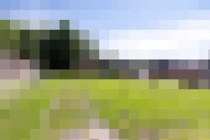 Nieuwediep 19 Nieuwediep thumbnail 34