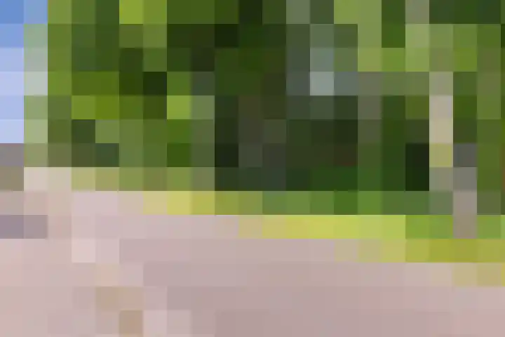 Nieuwediep 19 Nieuwediep thumbnail 35
