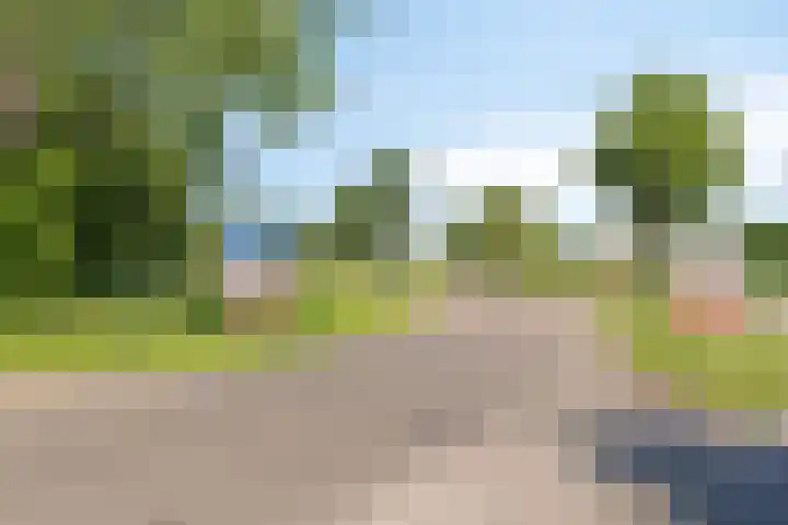 Nieuwediep 19 Nieuwediep thumbnail 36