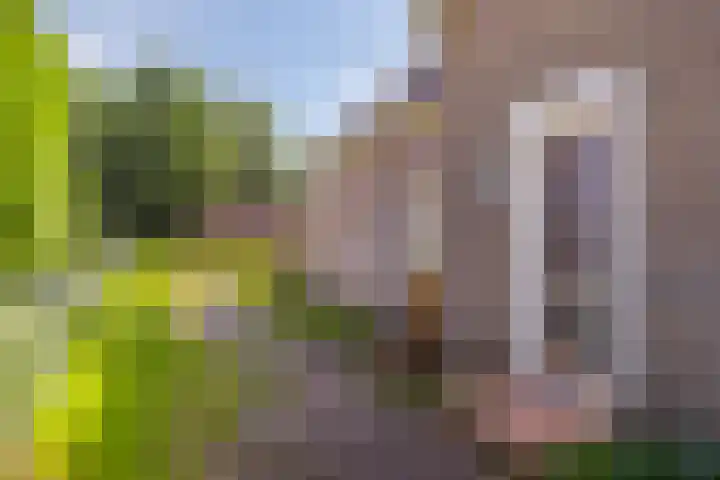 Nieuwediep 19 Nieuwediep thumbnail 7