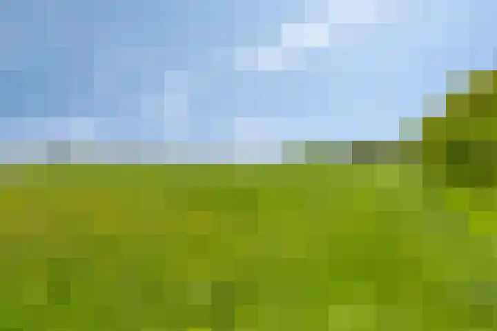Nieuwediep 50 Nieuwediep thumbnail 10