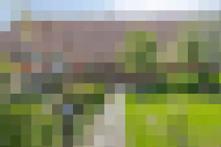 Nieuwediep 50 Nieuwediep thumbnail 11