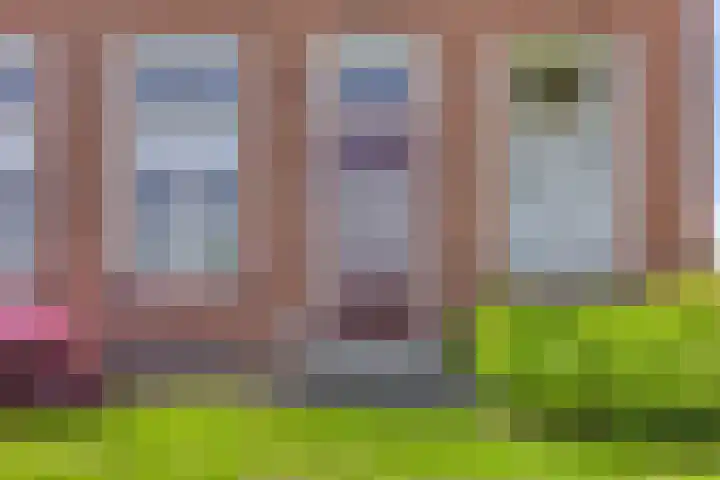 Nieuwediep 50 Nieuwediep thumbnail 12