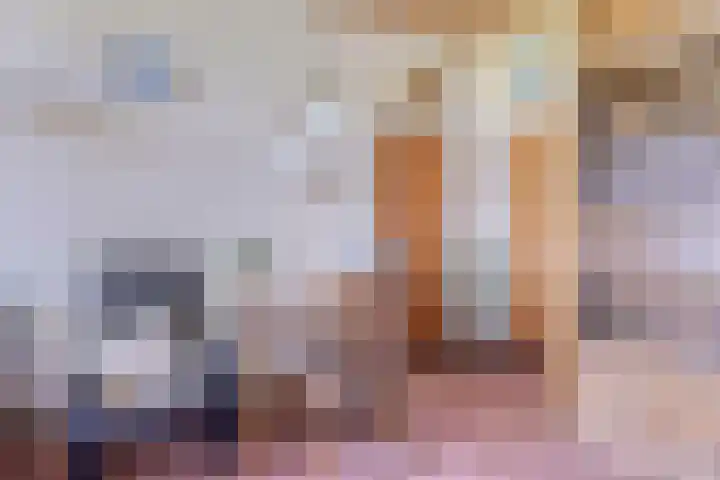 Nieuwediep 50 Nieuwediep thumbnail 16