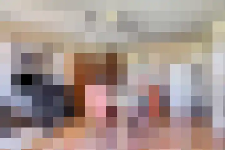 Nieuwediep 50 Nieuwediep thumbnail 18
