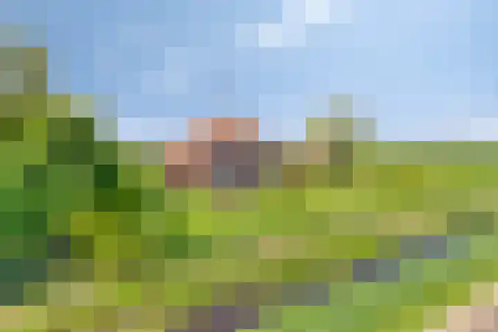 Nieuwediep 50 Nieuwediep foto 2