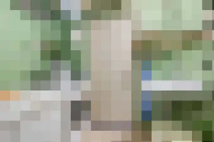Nieuwediep 50 Nieuwediep thumbnail 27