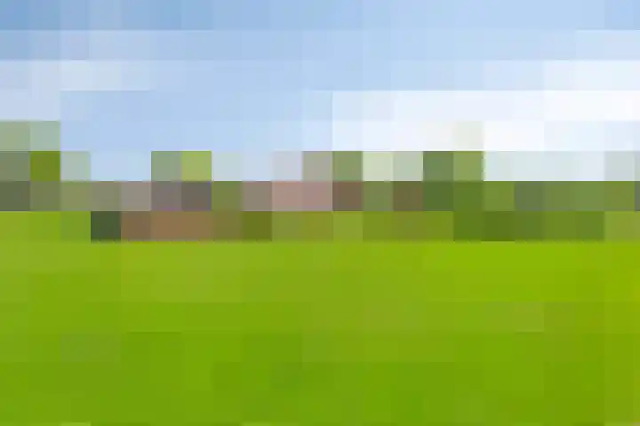 Nieuwediep 50 Nieuwediep foto 3
