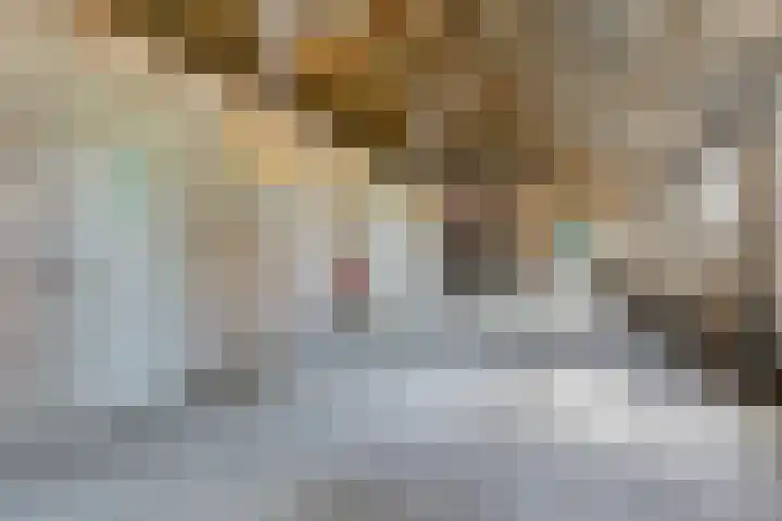 Nieuwediep 50 Nieuwediep thumbnail 31
