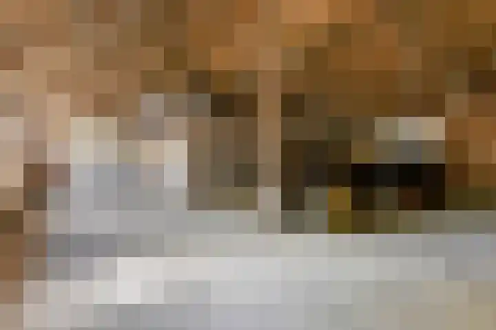 Nieuwediep 50 Nieuwediep thumbnail 33