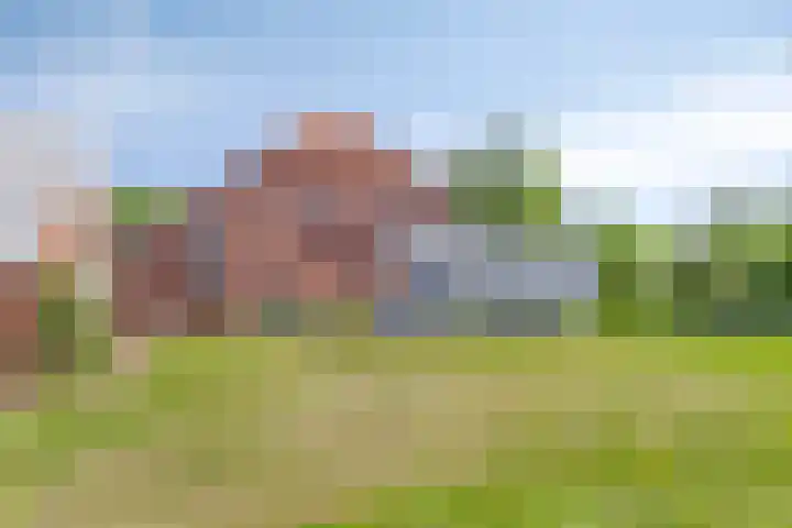 Nieuwediep 50 Nieuwediep thumbnail 37