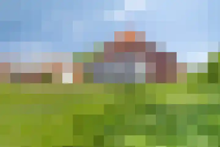 Nieuwediep 50 Nieuwediep thumbnail 38