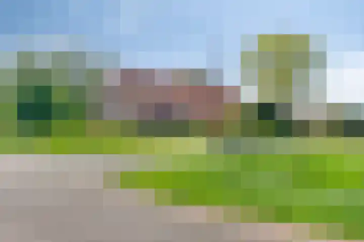 Nieuwediep 50 Nieuwediep thumbnail 4