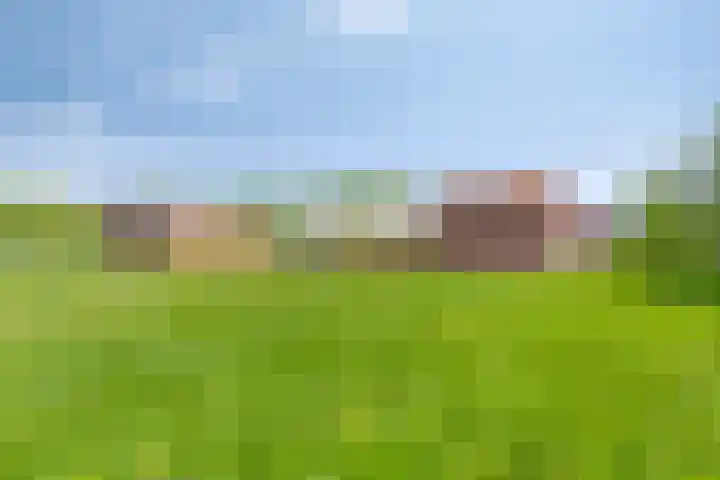 Nieuwediep 50 Nieuwediep thumbnail 40