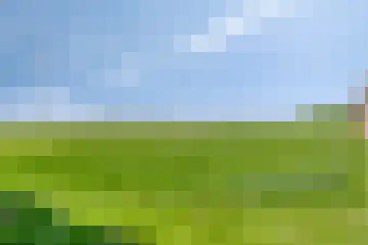 Nieuwediep 50 Nieuwediep thumbnail 43