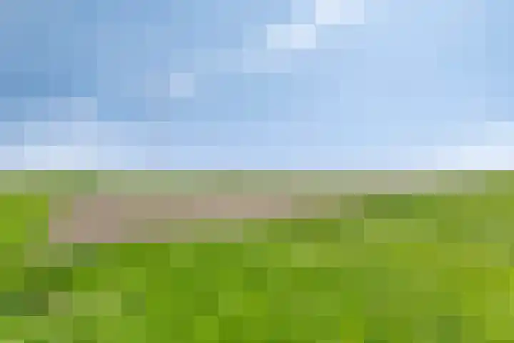 Nieuwediep 50 Nieuwediep thumbnail 44