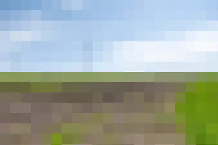 Nieuwediep 50 Nieuwediep thumbnail 45