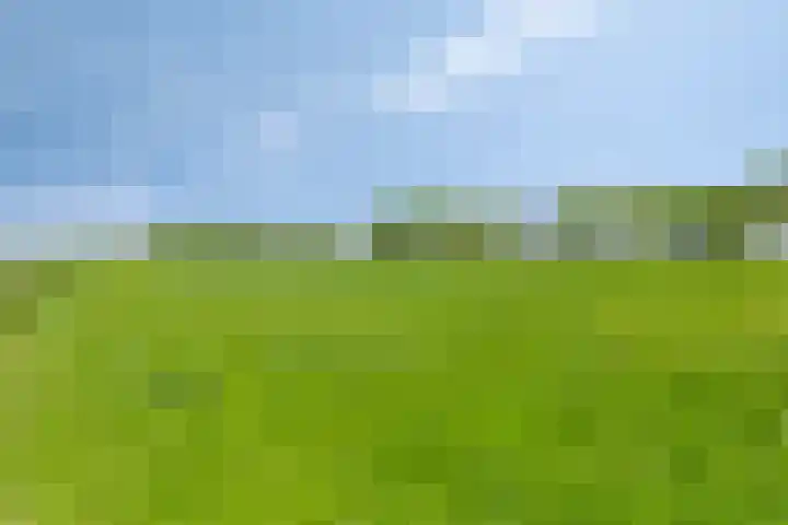 Nieuwediep 50 Nieuwediep thumbnail 46