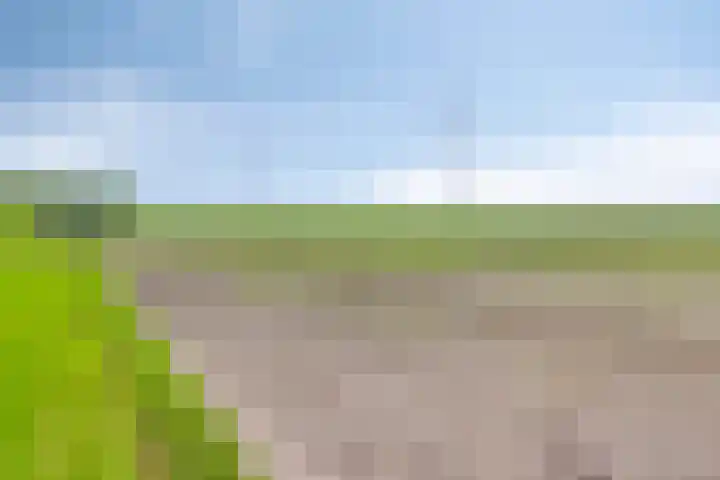 Nieuwediep 50 Nieuwediep thumbnail 47