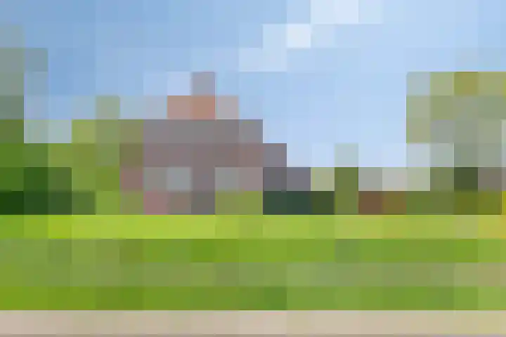 Nieuwediep 50 Nieuwediep thumbnail 5