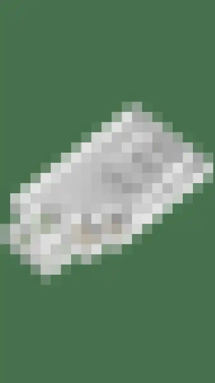 Nieuwediep 50 Nieuwediep thumbnail 53