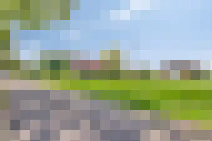 Nieuwediep 50 Nieuwediep thumbnail 58