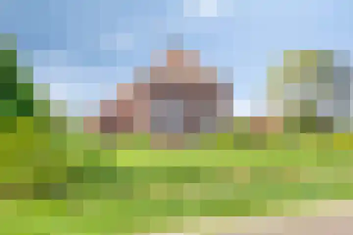 Nieuwediep 50 Nieuwediep thumbnail 6