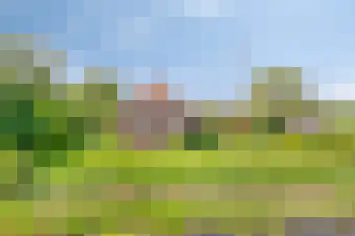 Nieuwediep 50 Nieuwediep thumbnail 7